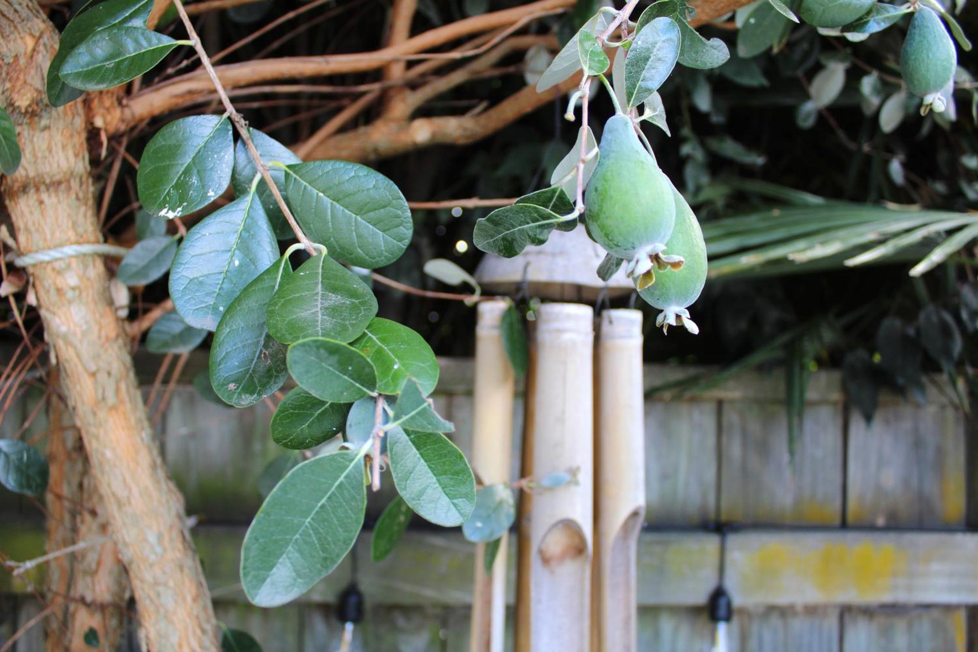 Beautiful Home With Short Stroll To Havelock Village Havelock North Ngoại thất bức ảnh